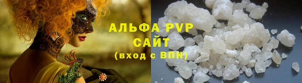 молекула духа Арсеньев