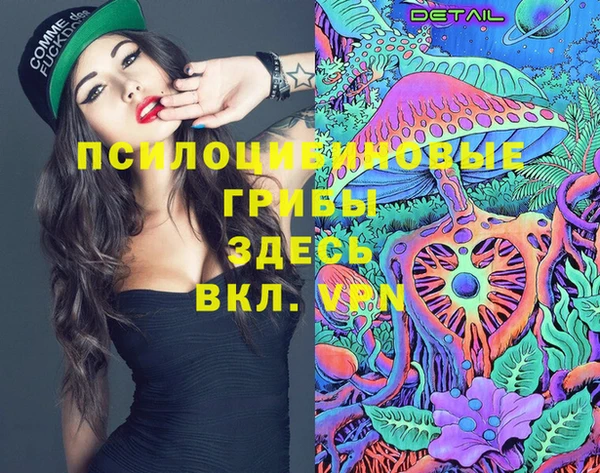 молекула духа Арсеньев
