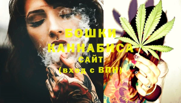 молекула духа Арсеньев