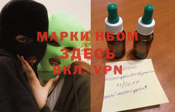 хмурый Алзамай