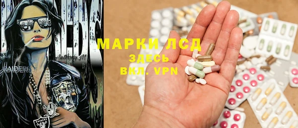 молекула духа Арсеньев