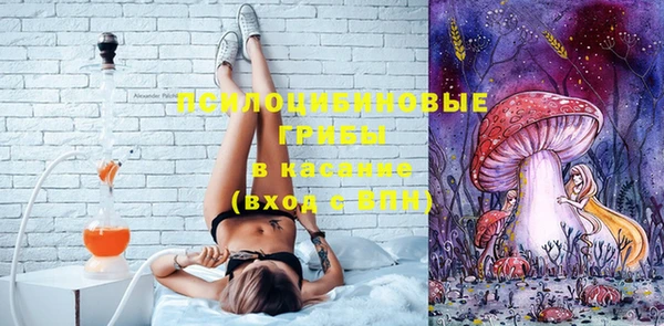 молекула духа Арсеньев