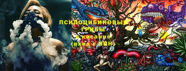 молекула духа Арсеньев