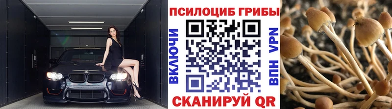 MEGA зеркало  Артёмовский  Псилоцибиновые грибы Magic Shrooms 